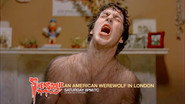 An American Werewolf in London (1981)