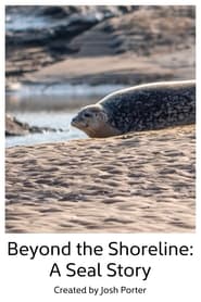 Beyond the Shoreline: A Seal Story