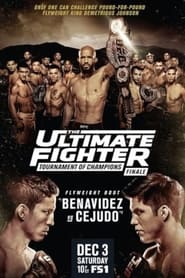 Poster The Ultimate Fighter 24 Finale