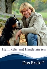 Poster Heimkehr mit Hindernissen