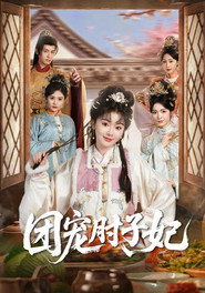 Plakat — 团宠肘子妃