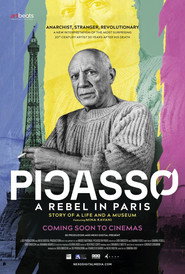 Picasso a Parigi - Storia di una vita e di un museo