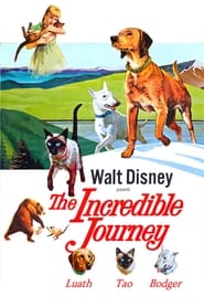 The Incredible Journey постер