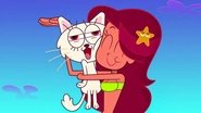 Like Cat and Dog