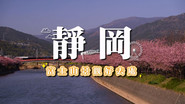 Episode 133