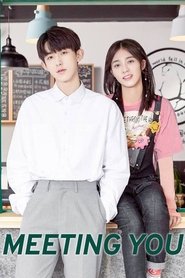 Meeting You (2020)