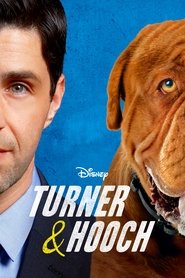 poster Turner & Hooch