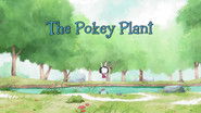 The Pokey Plant