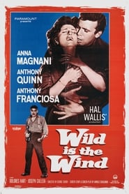 Wild Is the Wind постер
