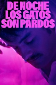 De noche los gatos son pardos (2023) Cliver HD - Legal - ver Online & Descargar