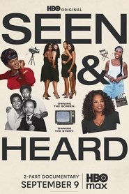 Seen & Heard: The History of Black Television (2025)