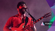 Foals