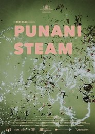 Punani Steam poszter