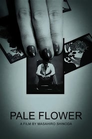 Pale Flower постер