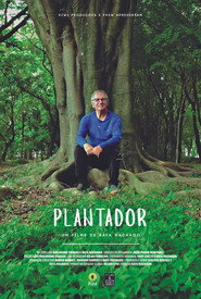 Plantador