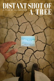 لقطة مُتباعدة لشجرة