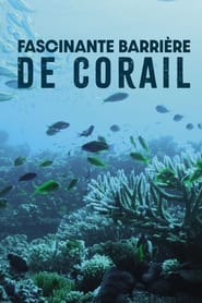 Fascinante barrière de corail