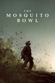 The Mosquito Bowl