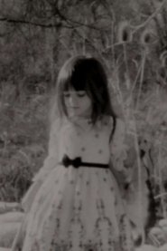 Poster The Evil and the Good Fairy 2016