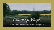 The Chichester Canal in July