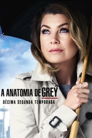 A Anatomia de Grey: Season 12