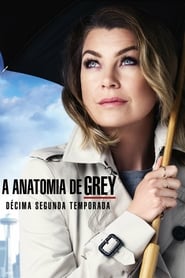 Grey’s Anatomy: Temporada 12