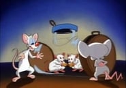 Pinky and the Brain - Episode 1x19