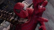 Spider-Man 2 en streaming