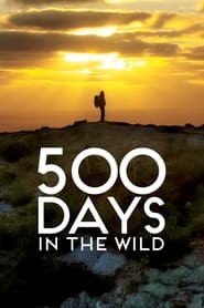 Poster 500 Days in the Wild 2024