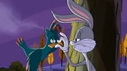 The New Looney Tunes 1x20