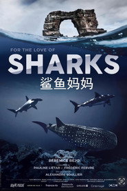 鲨鱼妈妈