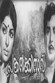 Poster Pakalkkinavu 1966