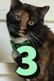 The Adventures of Murphy the Cat #3 (2018)