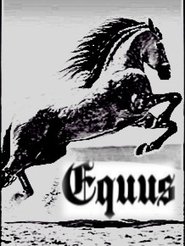 Equus 1970 Бесплатан неограничен приступ