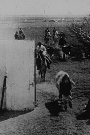 Encierro de toros 1898