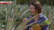 Pineapple Power