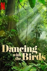 Image Dança dos Pássaros