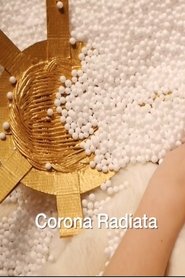 Poster Corona Radiata 2017