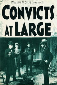 Poster Convicts at Large 1938