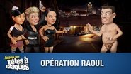 Operation Raoul