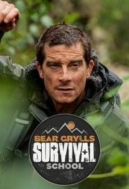 Bear Grylls: Survival School постер