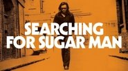 Sugar Man 