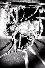 Nine Inch Nails: Came Back Haunted poster