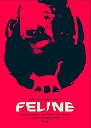 Poster Feline