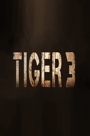 Tiger 3 постер