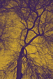 Darkness above and below, laying on the bliss (1970)