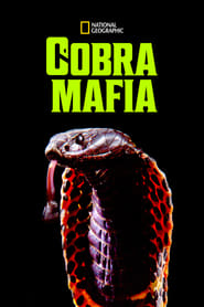 Cobra Mafia (2015)