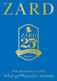 Poster ZARD 25th Anniversary LIVE  What a beautiful memory