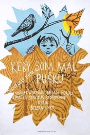 Poster Keby som mal pušku