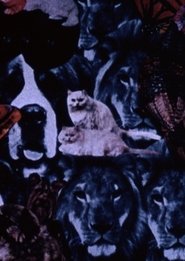 You're Not Real Pretty but You're Mine... (1968)